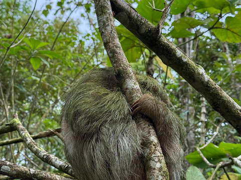 Alex On The Beach Tours-萨迪纳尔必去景点