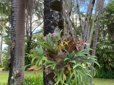 田可湾汽车旅馆主图