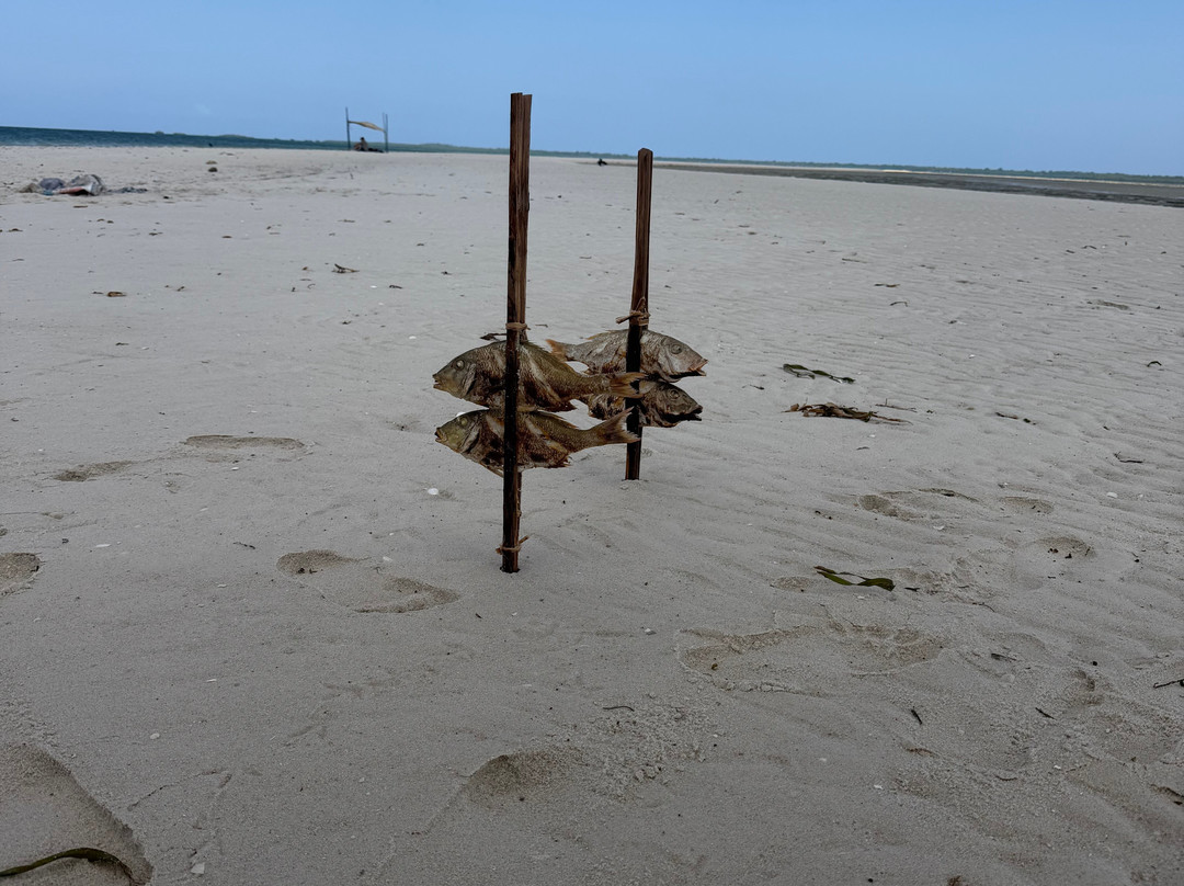 Safari Shwari Mafia Island