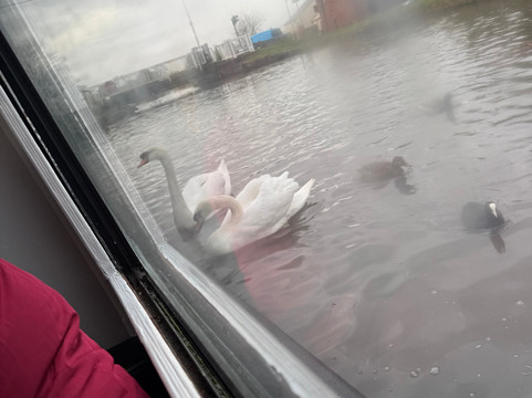 Lancashire Canal Cruises-Burscough必去景点