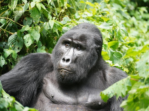 Encounter Africa Safaris-恩德培必去景点