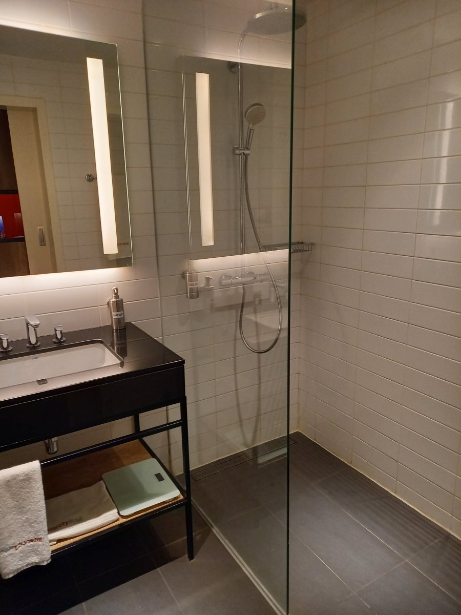 尼兹瓦城际酒店-浴室