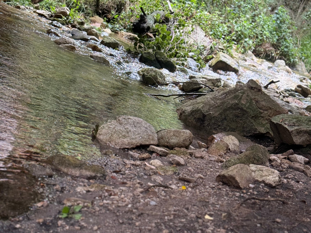 Magaliesberg Canopy Tour-鲁斯登堡必去景点