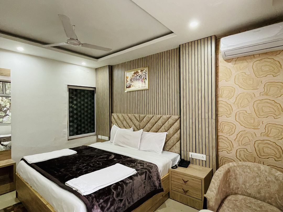 Hotel Anand Palace主图