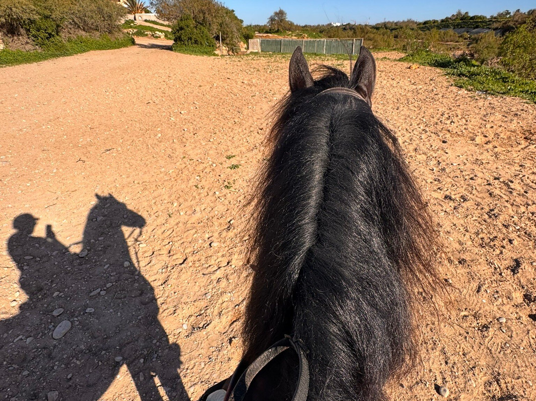 Ranch de Diabat-索维拉必去景点