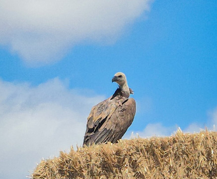 Bardenas Reales-Valtierra必去景点