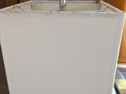 皇家旅馆酒店主图