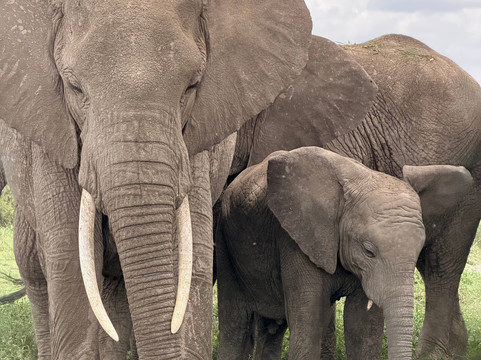 Unlimited Expeditions - The Soul Of Tanzania-阿鲁沙必去景点