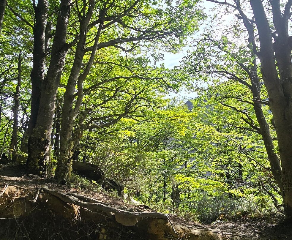 Erráticos del Sur-Torres del Paine必去景点