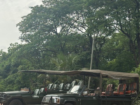 African Queen Dhow-Kendwa必去景点