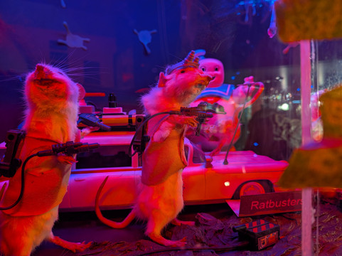 The Museum Of Curiosities-诺丁汉必去景点