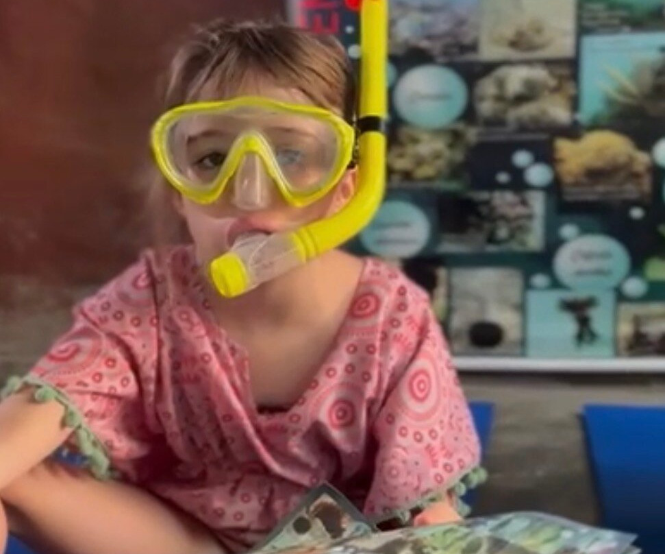 Mergulho Consciente-Taipus de Fora必去景点