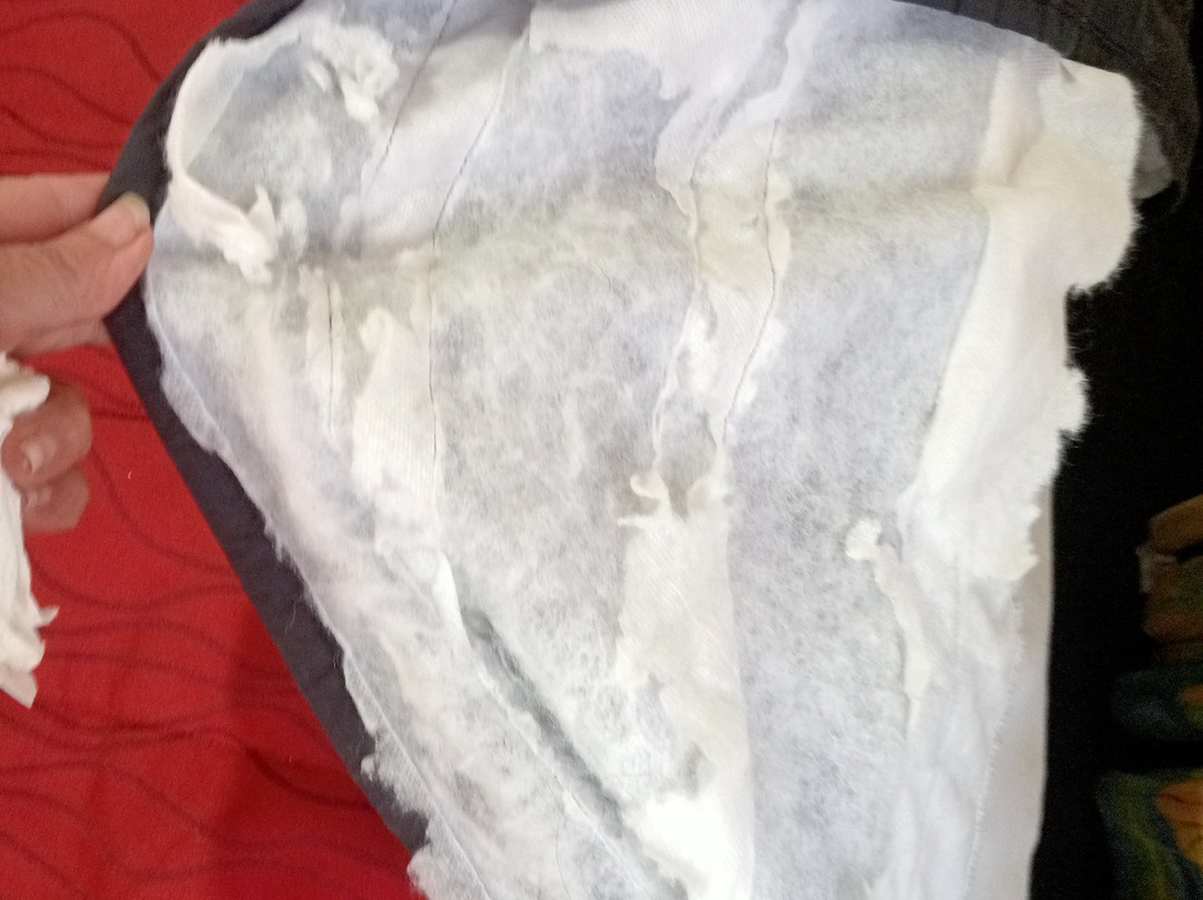 奥尔巴尼行政汽车旅馆主图