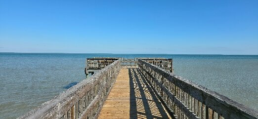 Aransas National Wildlife Refuge-Austwell必去景点
