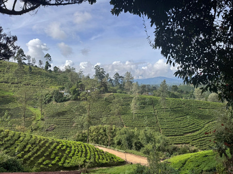 总督府酒店主图