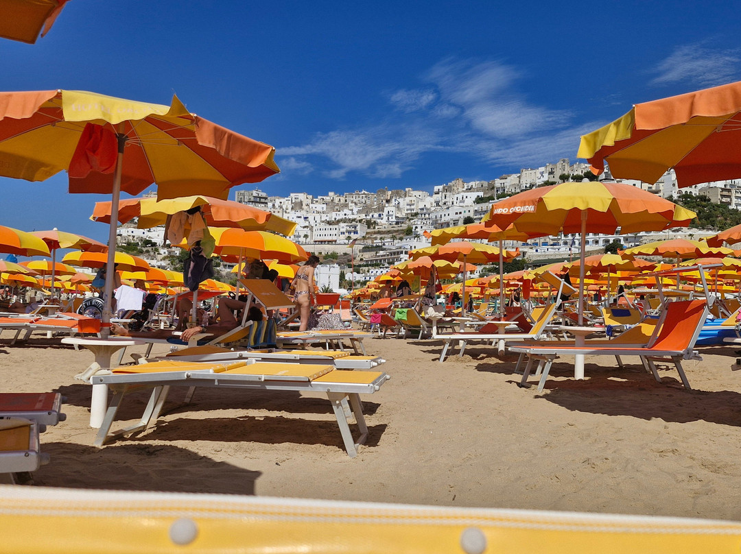 达马托酒店主图