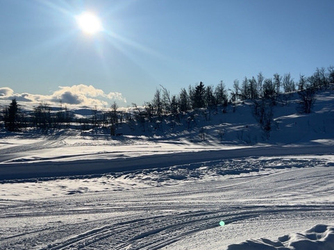 Beitostølen Aktiv & Skiskole-Beitostolen必去景点