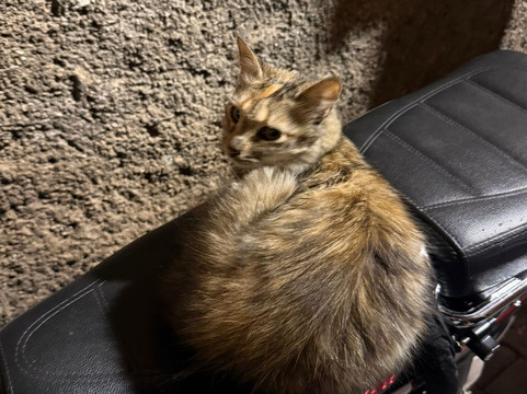 Taste of Morocco Adventures SARLAU-马拉喀什必去景点