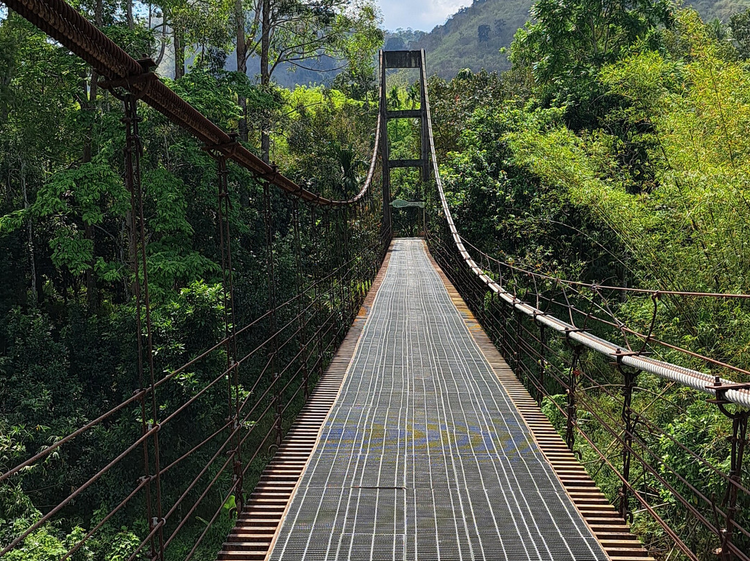 Suspension Bridge, Klong Phasaeng - Khao Heart-万打坤必去景点