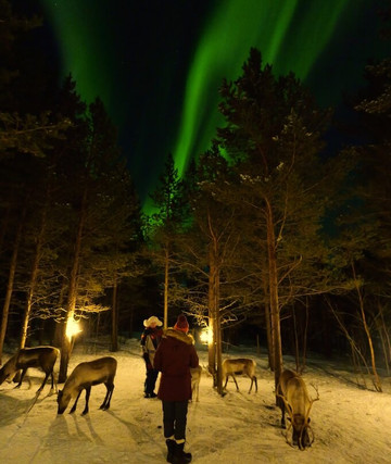 Rein Tur Ut-Lyngseidet必去景点