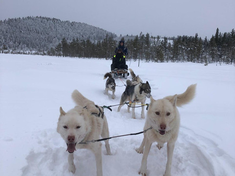 Aurora Borealis Adventures-Vindeln必去景点