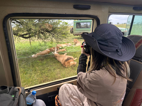 Meijo Safaris-阿鲁沙区必去景点