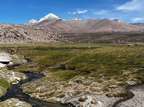 Mayuru Tour-Putre必去景点