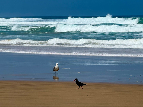 Wilderness Beach-荒野必去景点