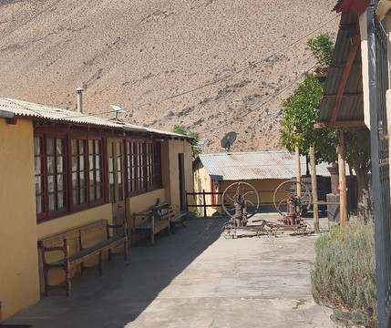 Fundo Los Nichos-Pisco Elqui必去景点