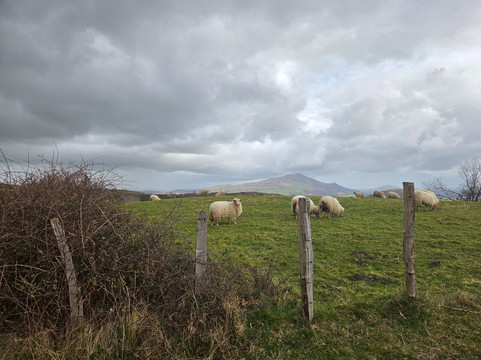 奥波卡酒店主图