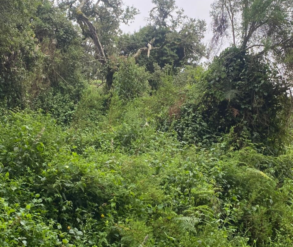 Sere adventure Safari-Kiboriloni必去景点