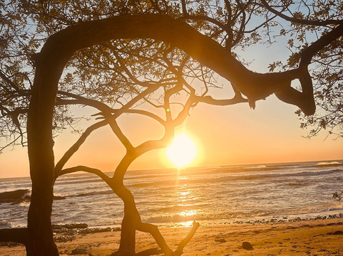 Imagine Picnic Tamarindo Beach-塔马林多必去景点