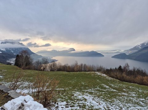 西布里克霍恩酒店-官方