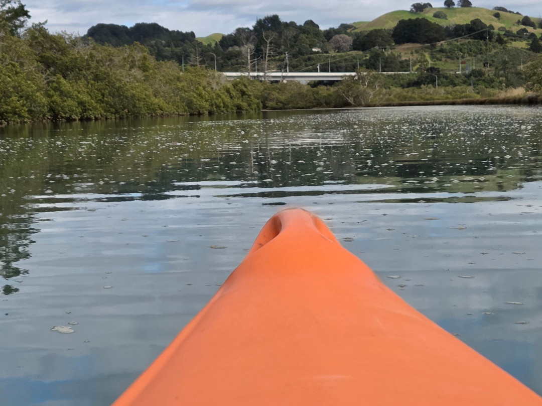 Puhoi River Kayak Hire Ltd Kayak Trips-奥克兰必去景点