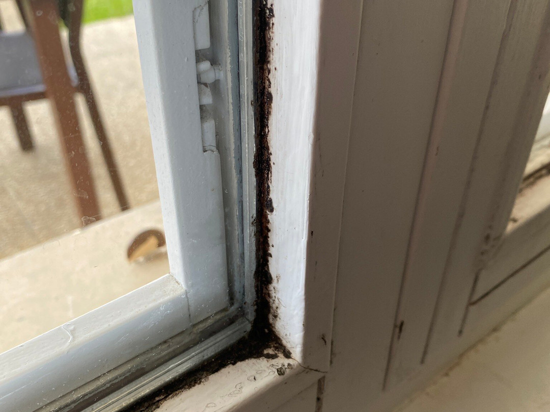 诺曼底花园村皮埃尔度假村主图