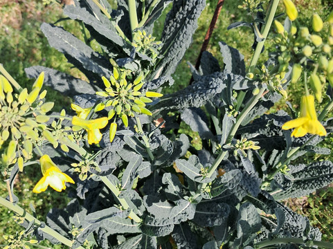 Bed And Breakfast Cà De Badin主图