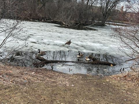 Verona Park-Verona必去景点
