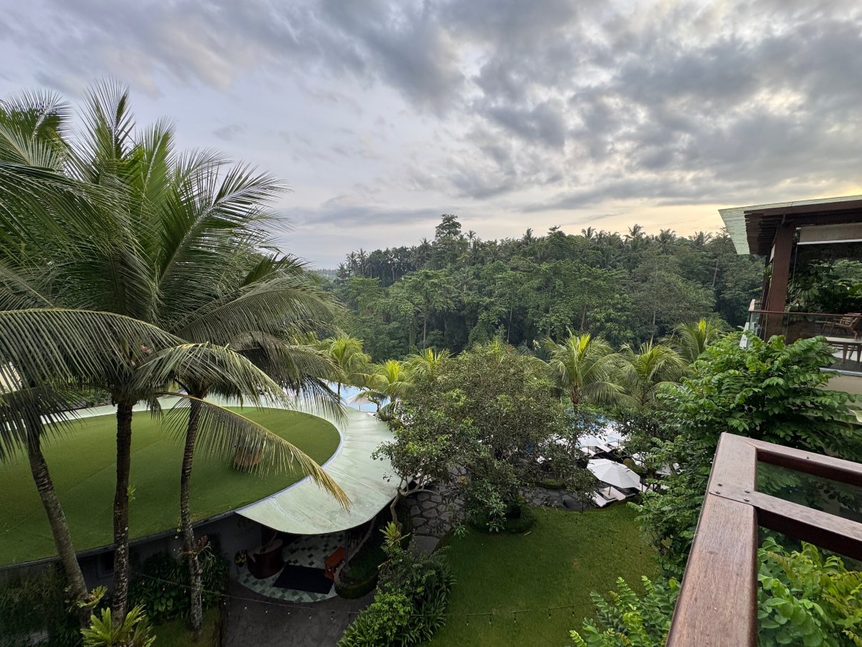 巴厘岛乌布威斯汀水疗度假酒店-泳池