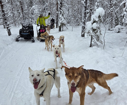 Arctic Circle Husky Park-罗瓦涅米必去景点