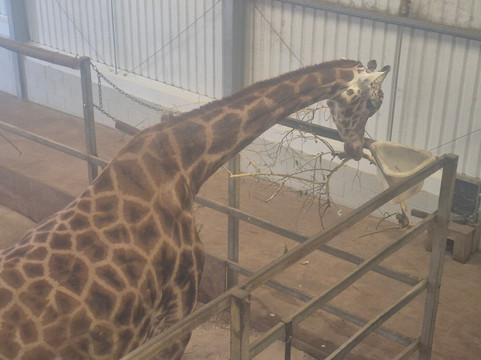 Paignton Zoo Environmental Park-佩恩顿必去景点