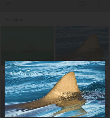 Explore Cape Verde-圣塔玛丽亚必去景点