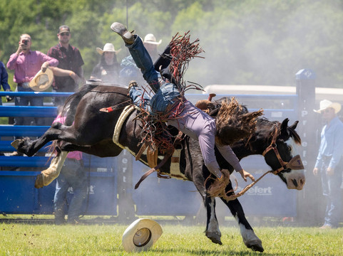 Historic 1836 Chuckwagon Races-Palestine必去景点