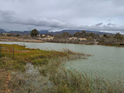La Charca-马斯帕洛马斯必去景点