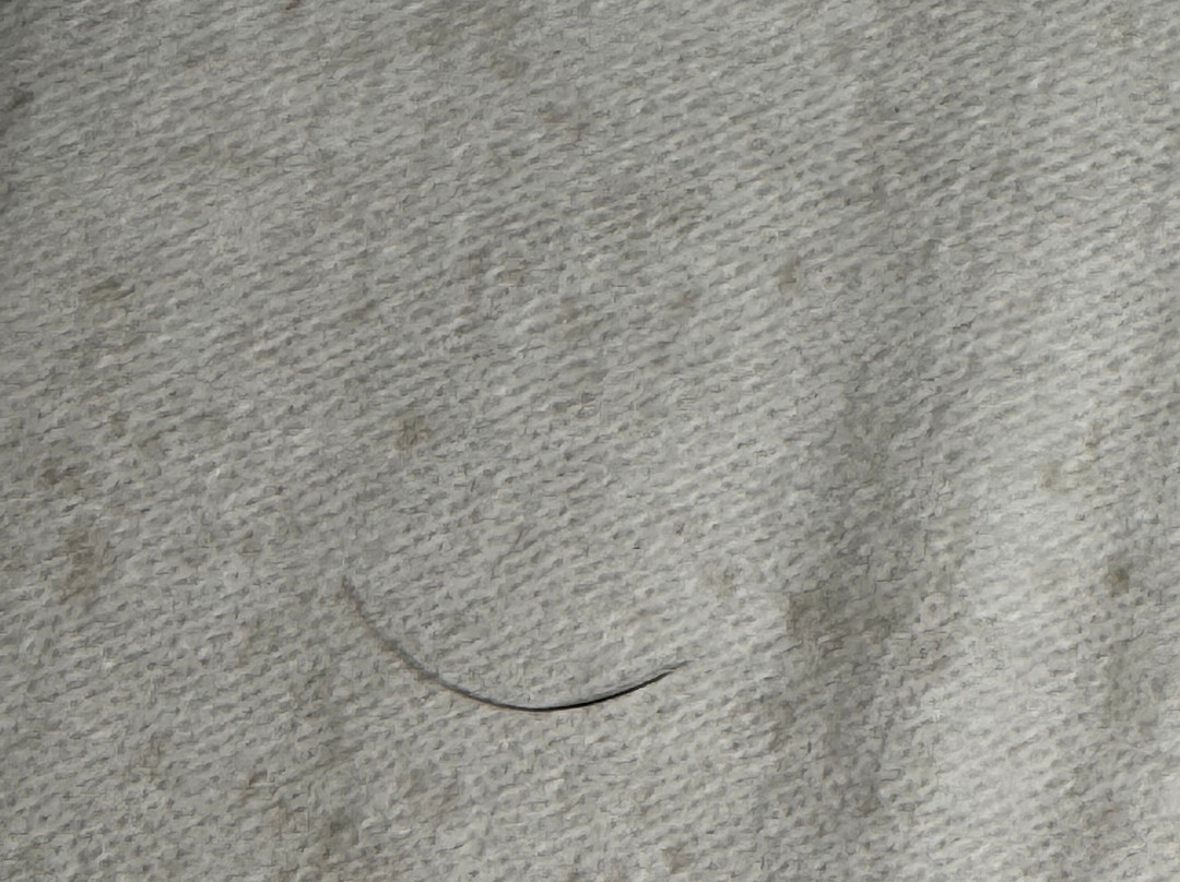 布朗斯顿豪斯酒店，贝斯特韦斯特至尊精选主图