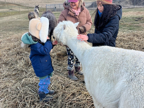 The Llama Sanctuary-Tappen必去景点
