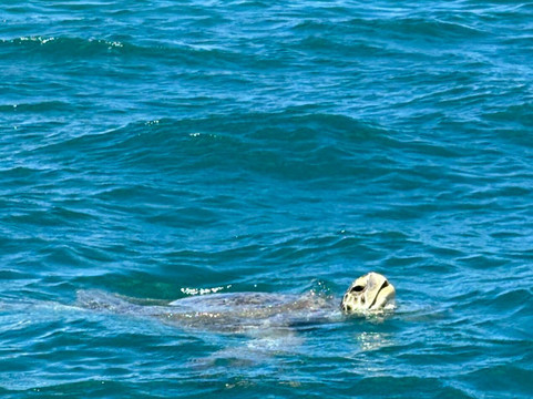 Slice Of Life-卓得多斯必去景点