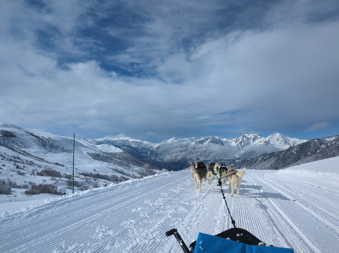 Chiens de Traineau-Saint Francois Longchamp必去景点