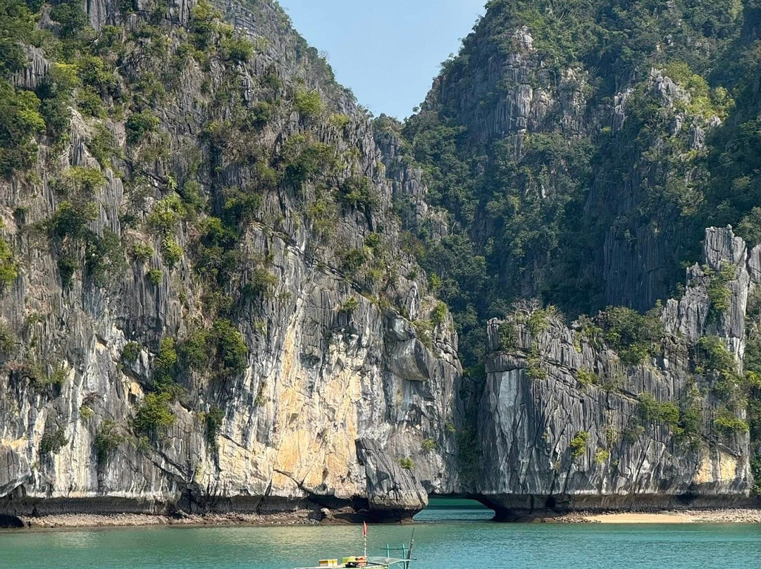 Blue Swimmer Adventures-卡巴必去景点