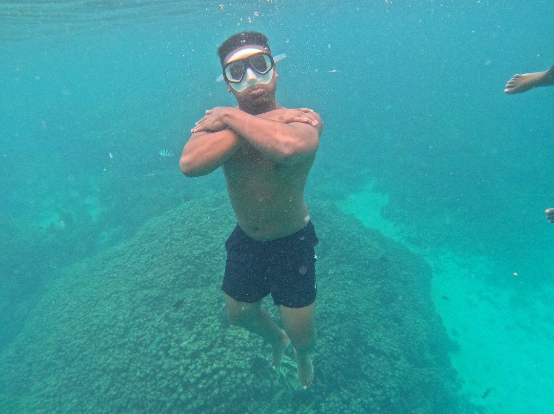 Saddlebird Adventures - Travel And Tours-蒙巴萨必去景点