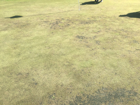 Cypresswood Golf Club-斯普林必去景点